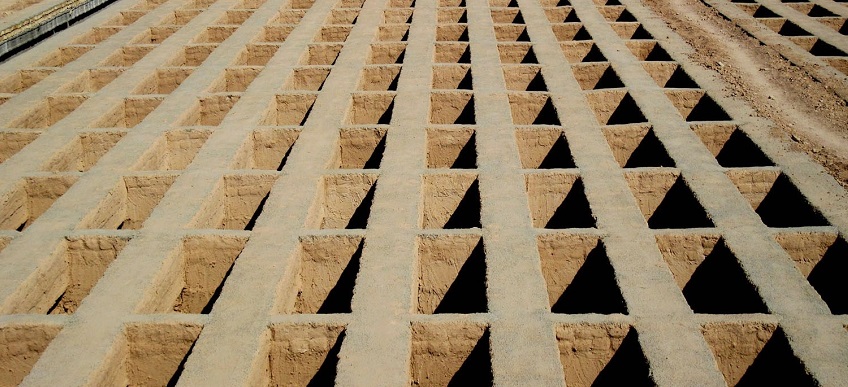 سکوتی که سرهنگ را زنده نگذاشت