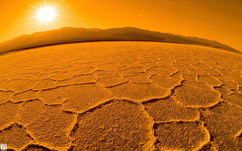 بیداری در خواب