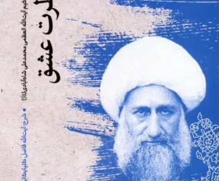 مروری بر آثار نگاشته‌شده پیرامون آیت‌الله شاه‌آبادی (ره)